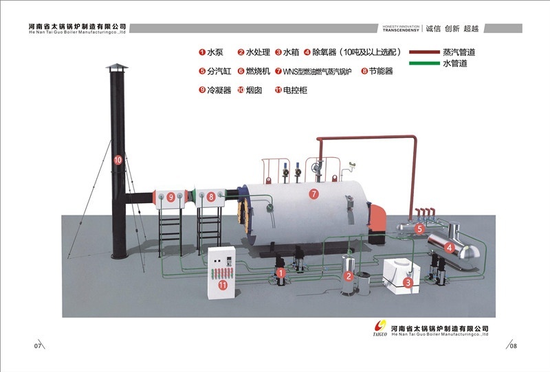 全网最精准澳门资料天肖